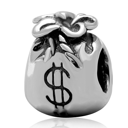 6 New Year's Resolutions for 2024 and the Tools You Need to Keep Them 6 925 Sterling Silver Beads Dollar Pocket Money Bag Charms for Pandora Charms Bracelet